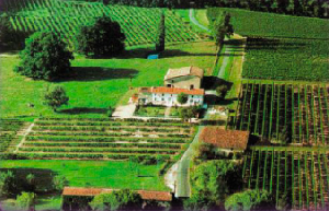 Vineyard Routurier: producer of white, rosé and red wine -  AOC Blaye Côtes de Bordeaux